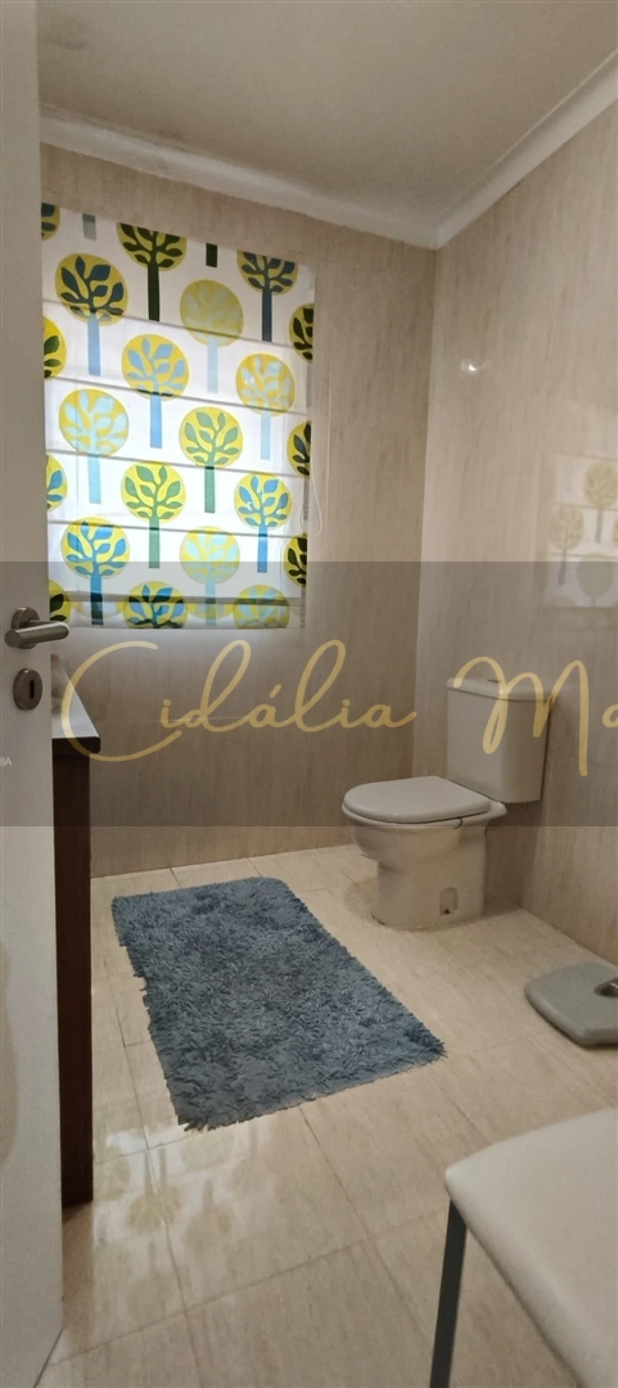 Moradia T4 para Venda em Fragosela Foto 18