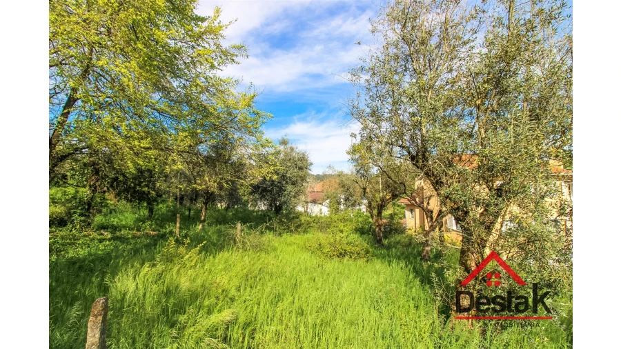 Terreno para Venda em São Pedro do Sul, Várzea e Baiões Foto 6
