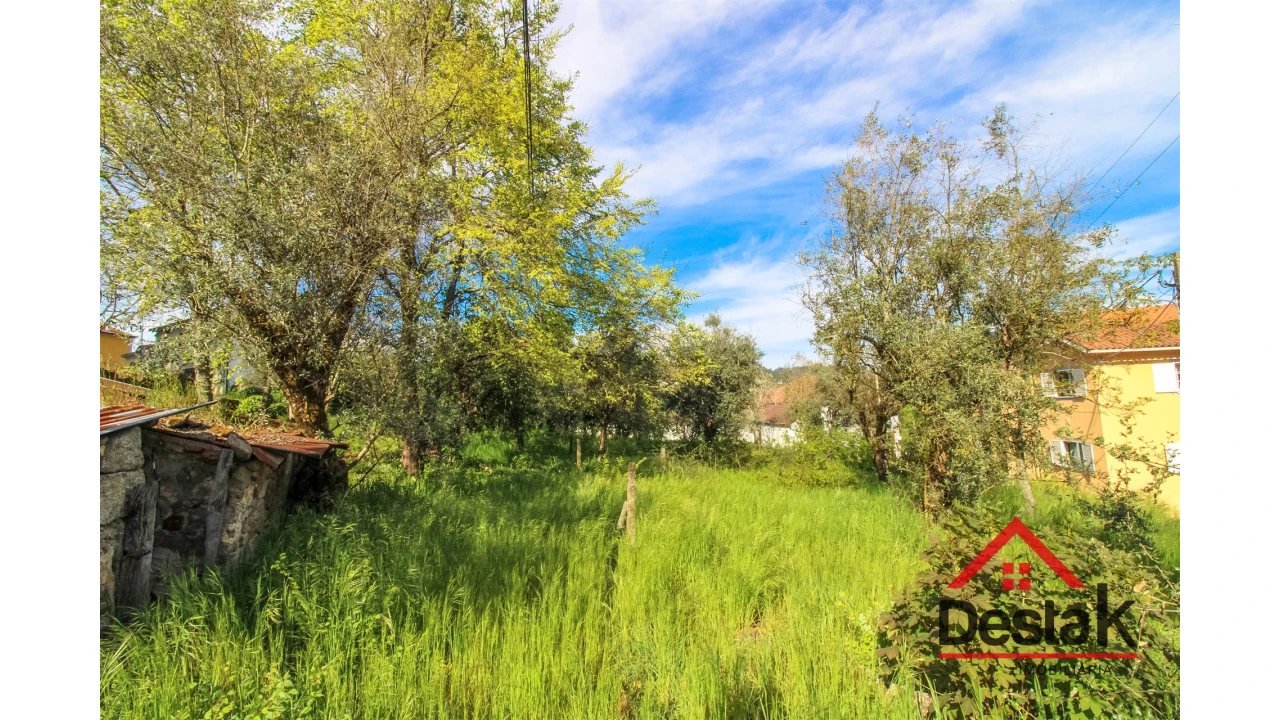 Terreno para Venda em São Pedro do Sul, Várzea e Baiões Foto 4