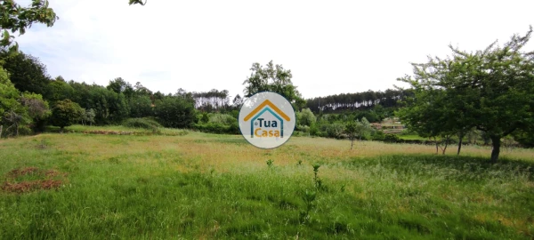 Moradia T4 para Venda em Campo