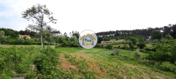 Moradia T4 para Venda em Campo
