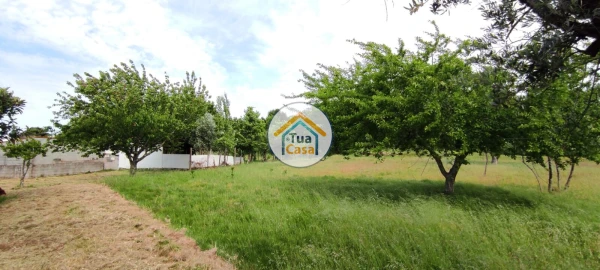 Moradia T4 para Venda em Campo