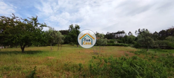 Moradia T4 para Venda em Campo