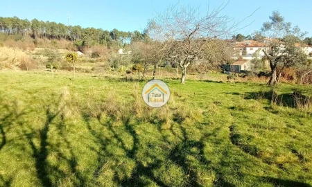 Moradia T4 para Venda em Campo