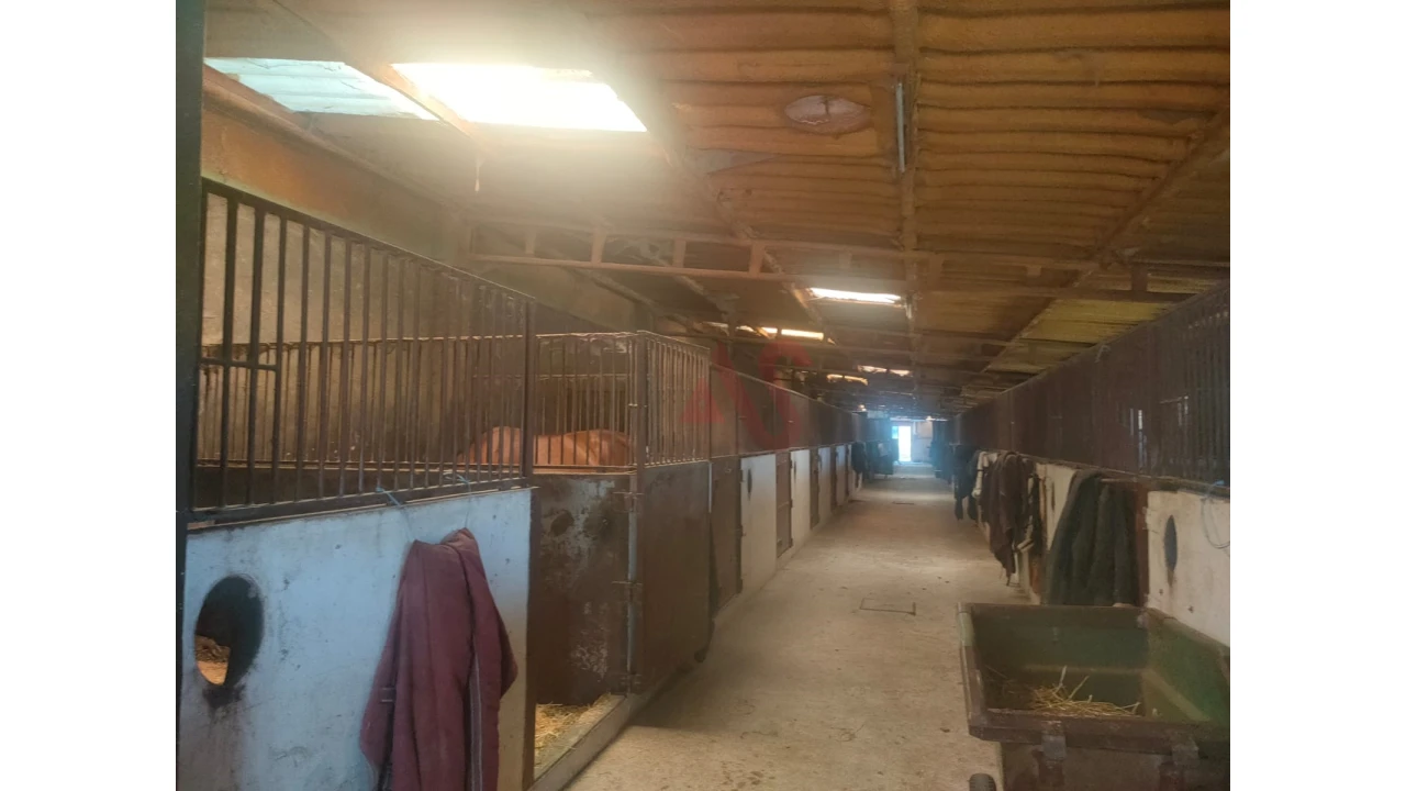 Quinta T5 para Venda em Fermentões Foto 5