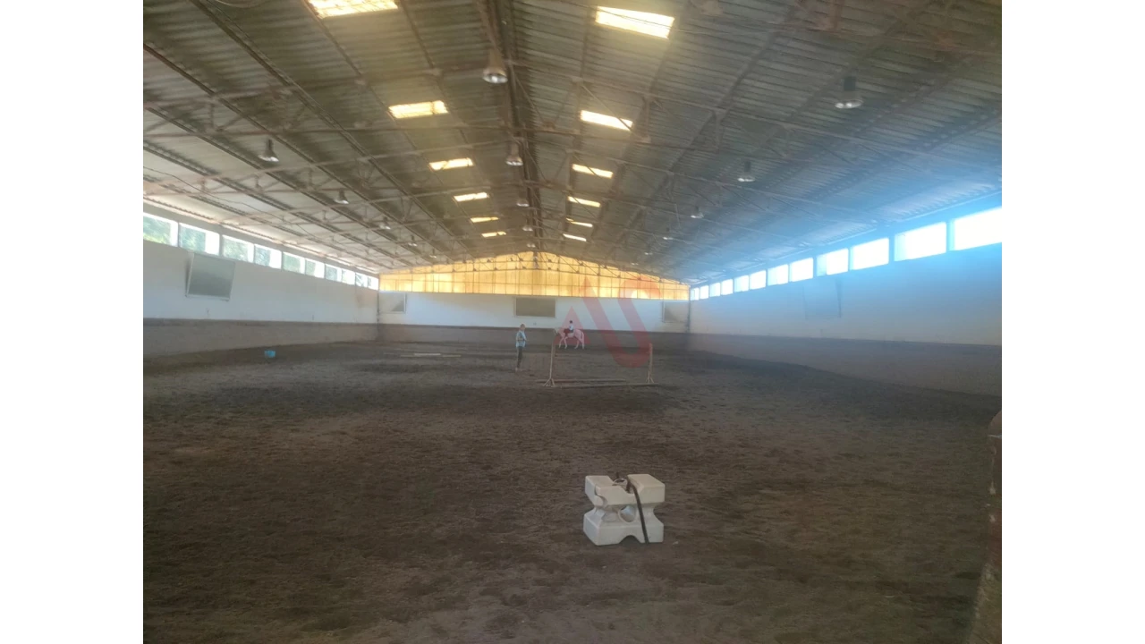 Quinta T5 para Venda em Fermentões Foto 3