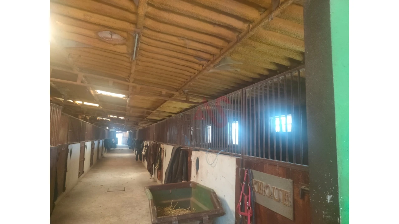 Quinta T5 para Venda em Fermentões Foto 4