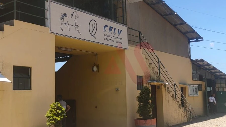Quinta T5 para Venda em Fermentões