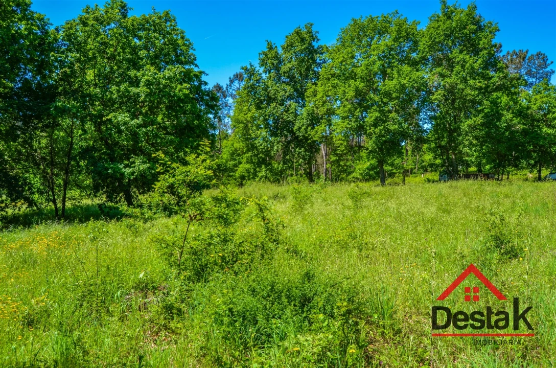 Terreno para Venda em São Pedro do Sul, Várzea e Baiões Foto 10