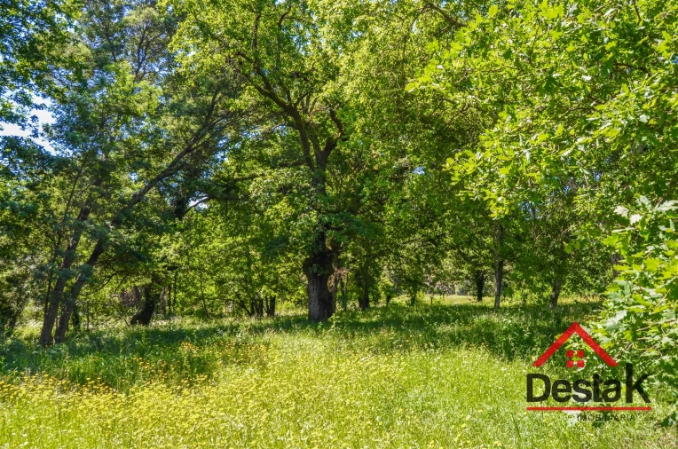 Terreno para Venda em São Pedro do Sul, Várzea e Baiões Foto 6