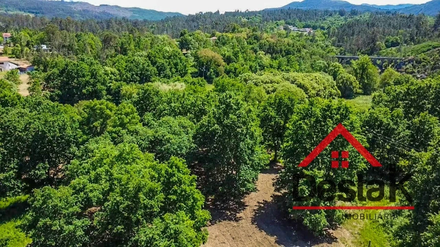 Terreno para Venda em São Pedro do Sul, Várzea e Baiões Foto 15
