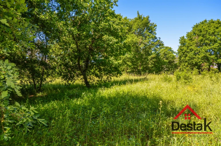 Terreno para Venda em São Pedro do Sul, Várzea e Baiões Foto 8