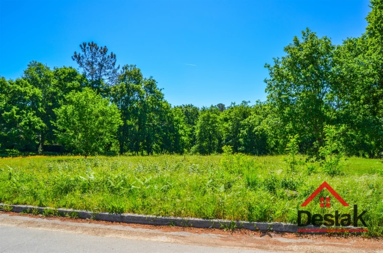Terreno para Venda em São Pedro do Sul, Várzea e Baiões Foto 3