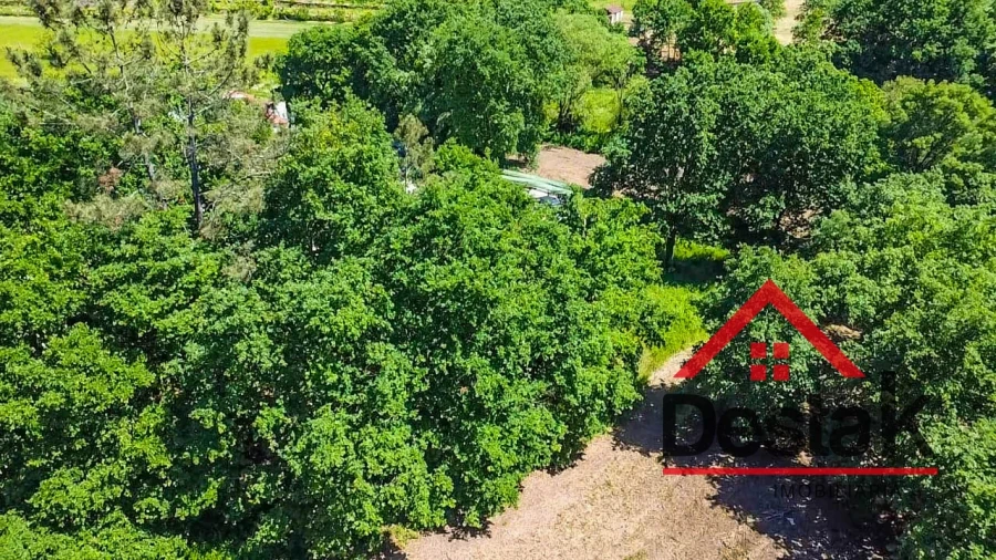 Terreno para Venda em São Pedro do Sul, Várzea e Baiões Foto 13