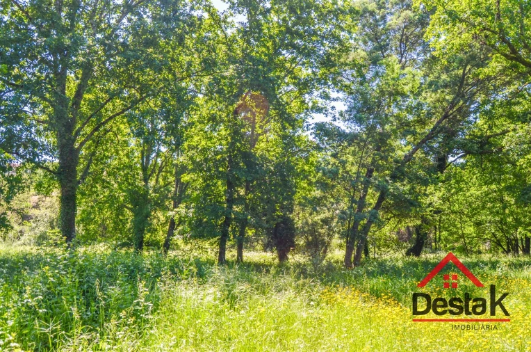 Terreno para Venda em São Pedro do Sul, Várzea e Baiões Foto 7