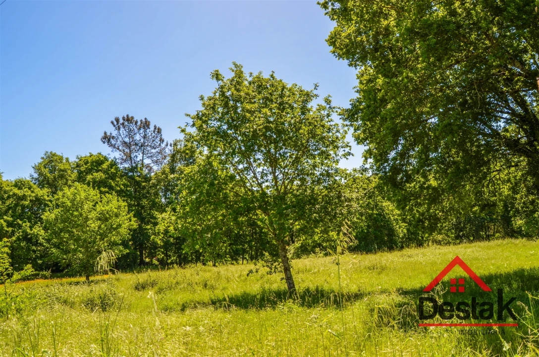 Terreno para Venda em São Pedro do Sul, Várzea e Baiões Foto 2
