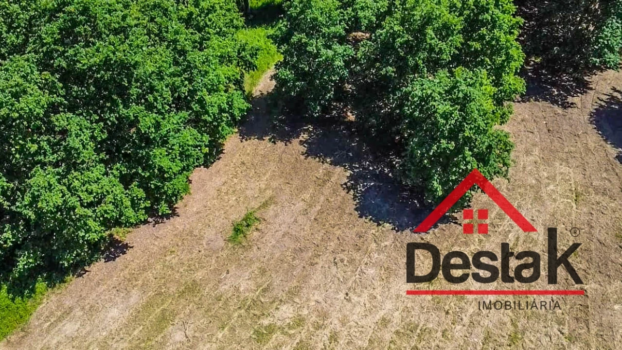 Terreno para Venda em São Pedro do Sul, Várzea e Baiões Foto 14