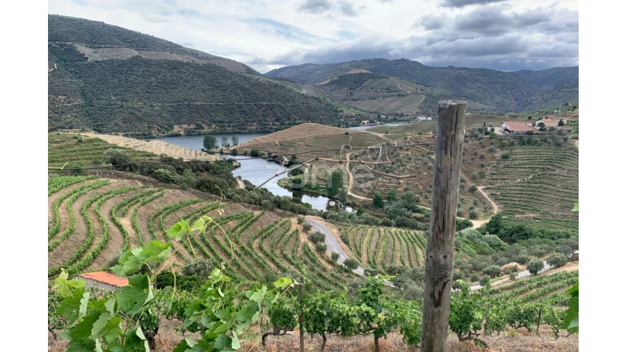 Terreno para Venda em Seixo de Ansiães Foto 2