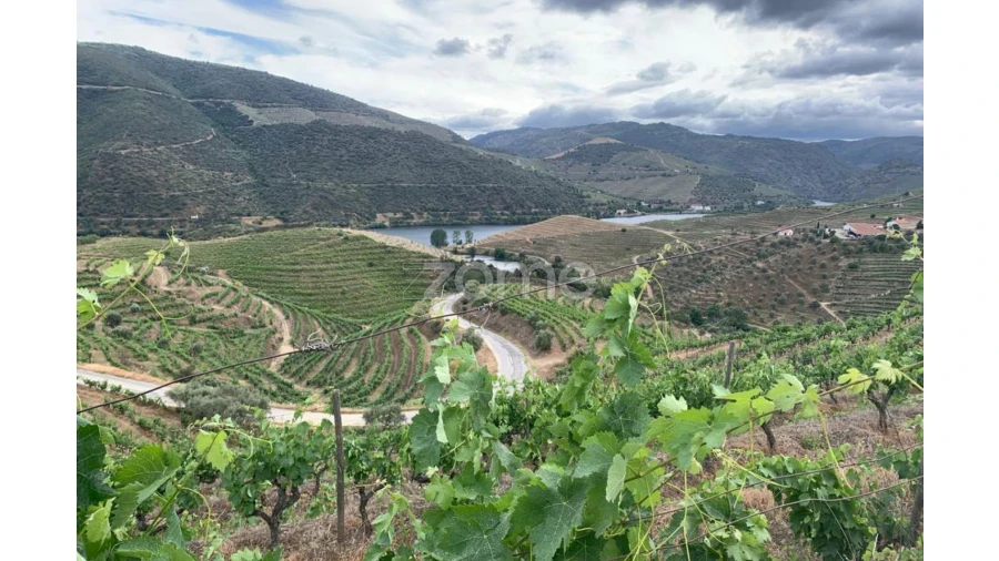 Terreno para Venda em Seixo de Ansiães Foto 4