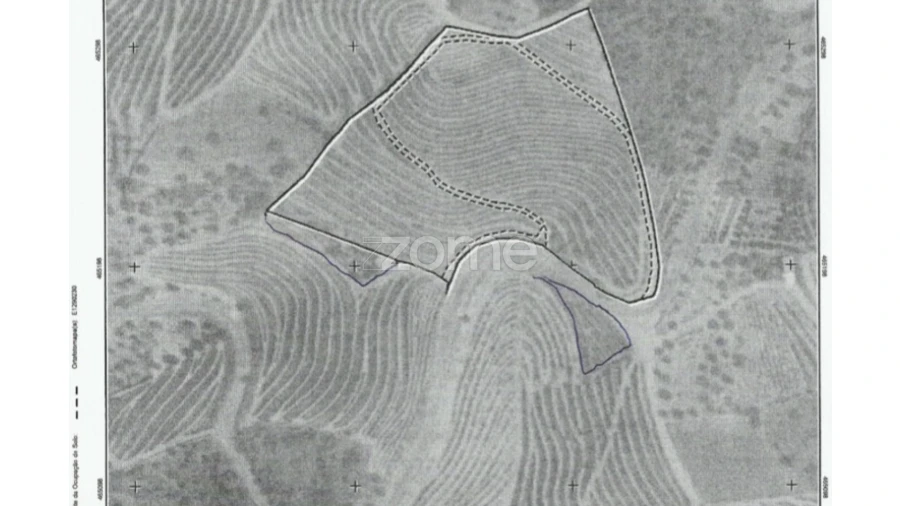 Terreno para Venda em Seixo de Ansiães Foto 6