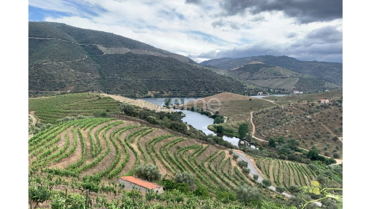 Terreno para Venda em Seixo de Ansiães Foto 3