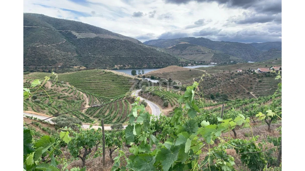Terreno para Venda em Seixo de Ansiães Foto 4