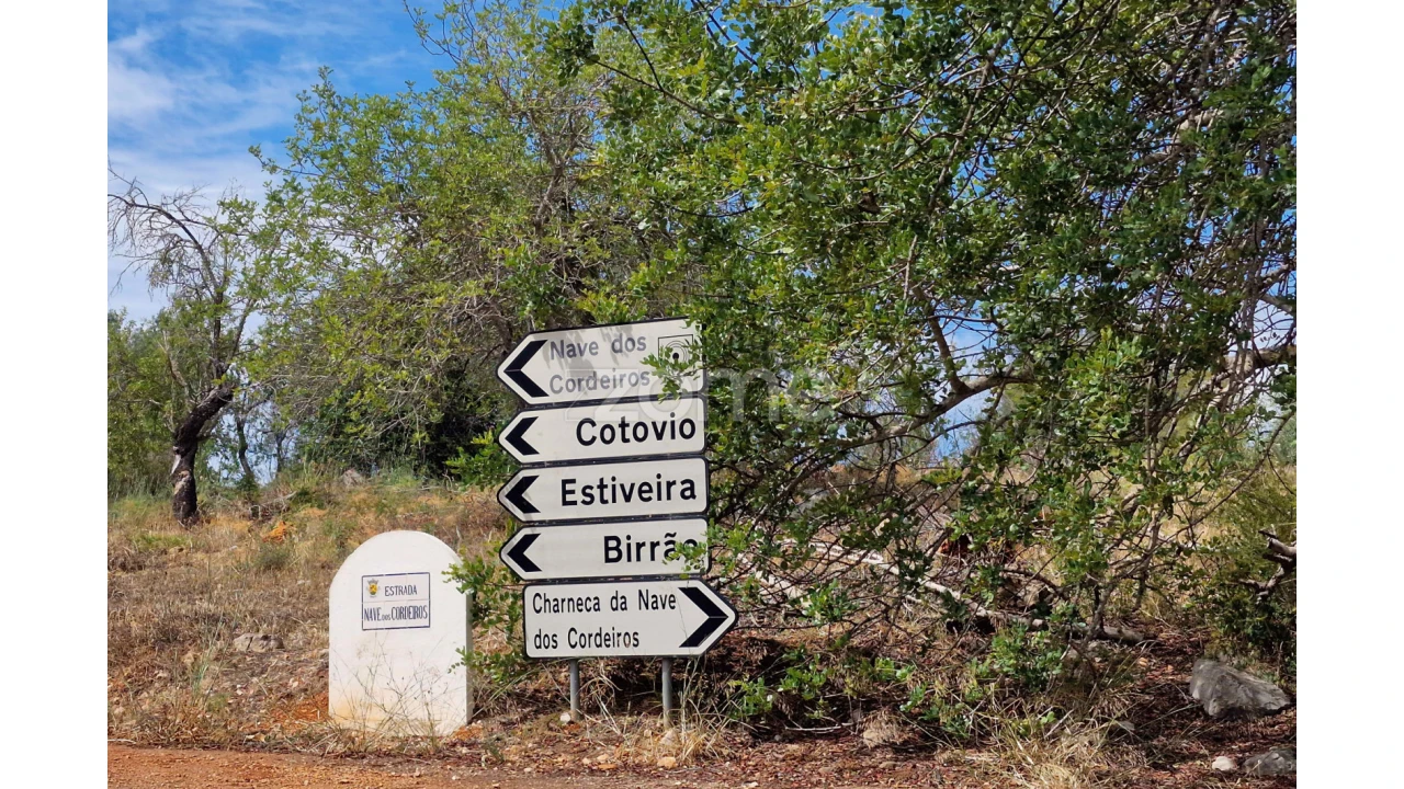 Terreno para Venda em Querença, Tôr e Benafim Foto 1