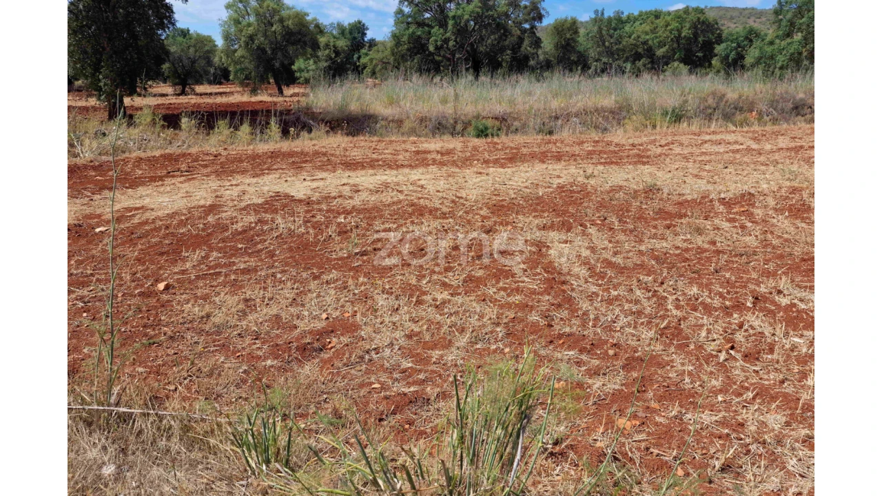 Terreno para Venda em Querença, Tôr e Benafim Foto 4