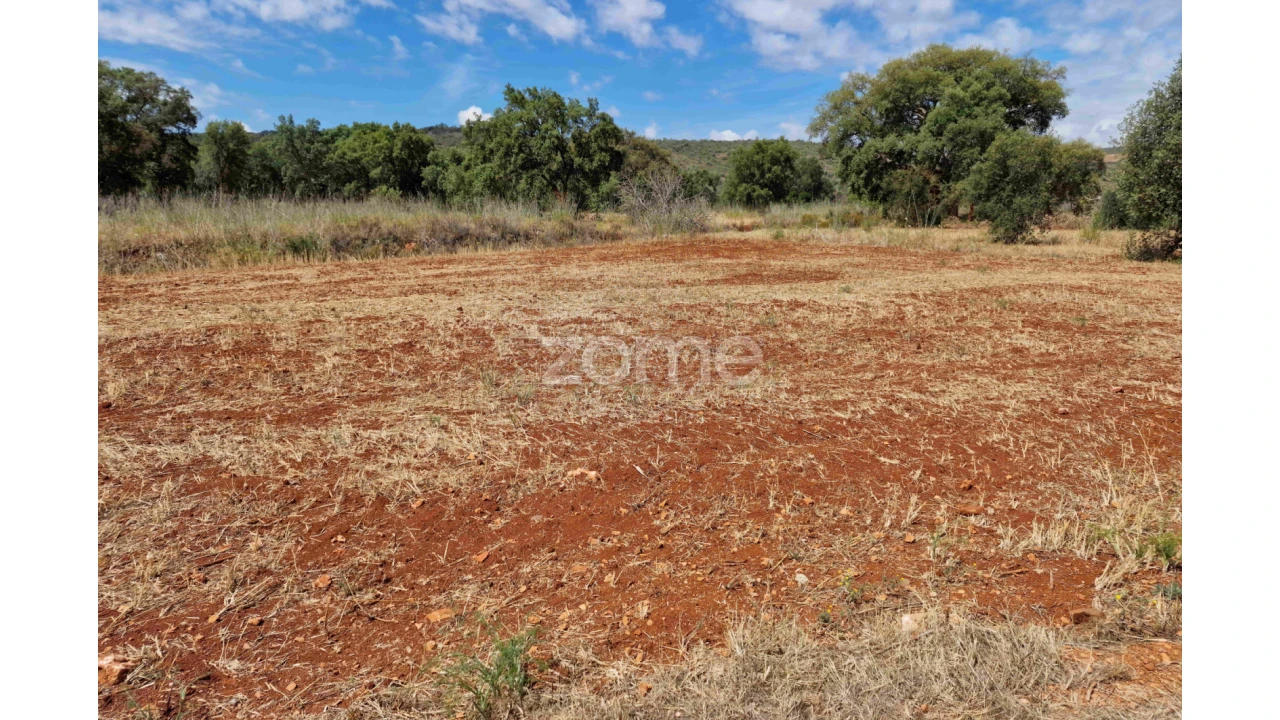 Terreno para Venda em Querença, Tôr e Benafim Foto 8