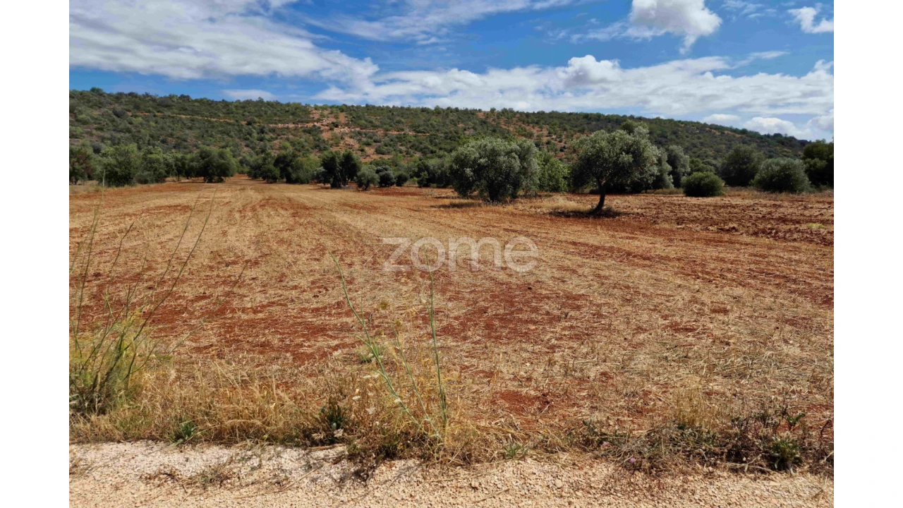 Terreno para Venda em Querença, Tôr e Benafim Foto 10