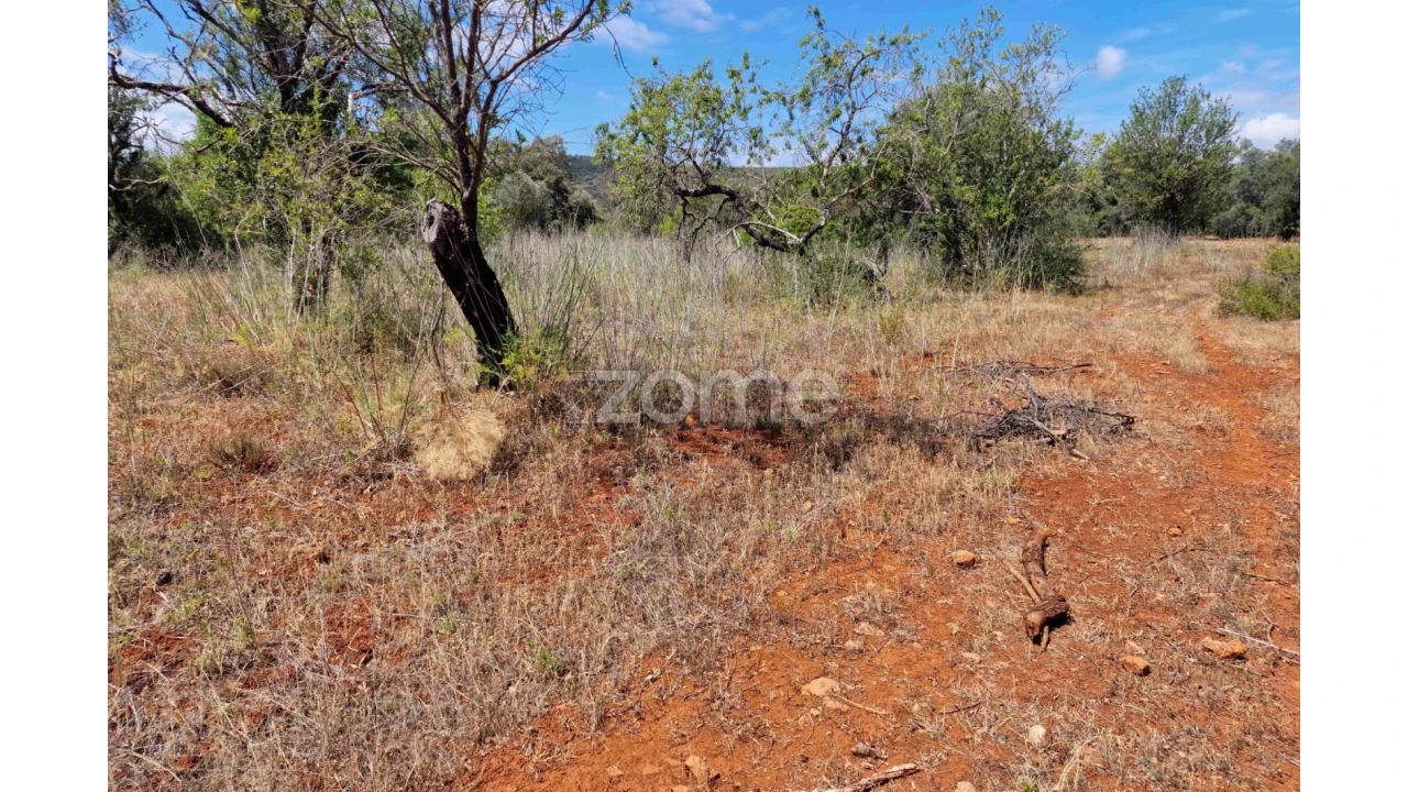Terreno para Venda em Querença, Tôr e Benafim Foto 13