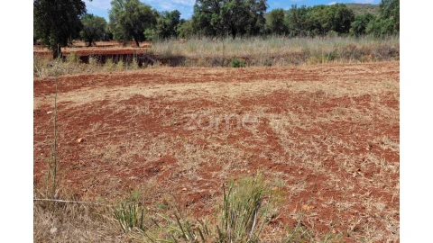 Terreno para Venda em Querença, Tôr e Benafim