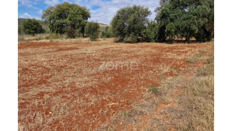 Terreno para Venda em Querença, Tôr e Benafim