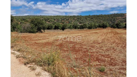 Terreno para Venda em Querença, Tôr e Benafim