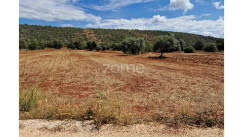 Terreno para Venda em Querença, Tôr e Benafim