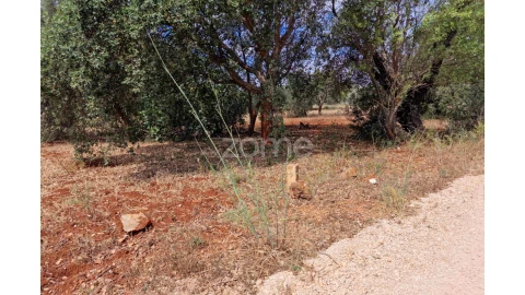 Terreno para Venda em Querença, Tôr e Benafim