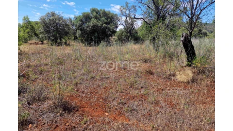Terreno para Venda em Querença, Tôr e Benafim