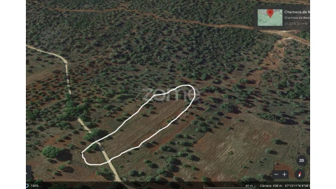 Terreno para Venda em Querença, Tôr e Benafim