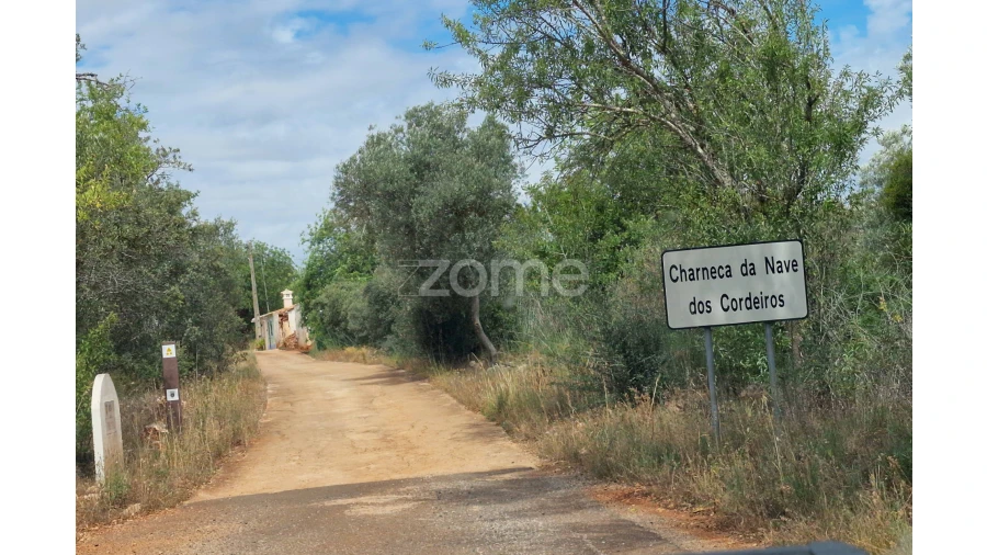 Terreno para Venda em Querença, Tôr e Benafim Foto 3