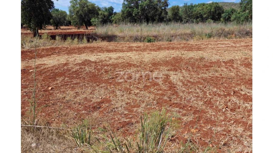 Terreno para Venda em Querença, Tôr e Benafim Foto 4