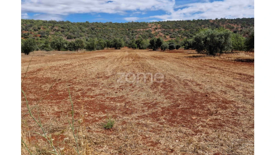 Terreno para Venda em Querença, Tôr e Benafim Foto 7