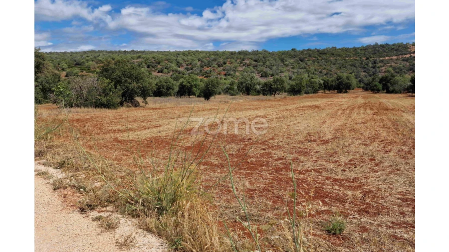 Terreno para Venda em Querença, Tôr e Benafim Foto 9
