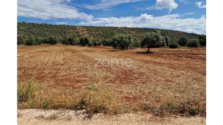 Terreno para Venda em Querença, Tôr e Benafim Foto 10