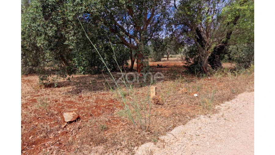 Terreno para Venda em Querença, Tôr e Benafim Foto 11