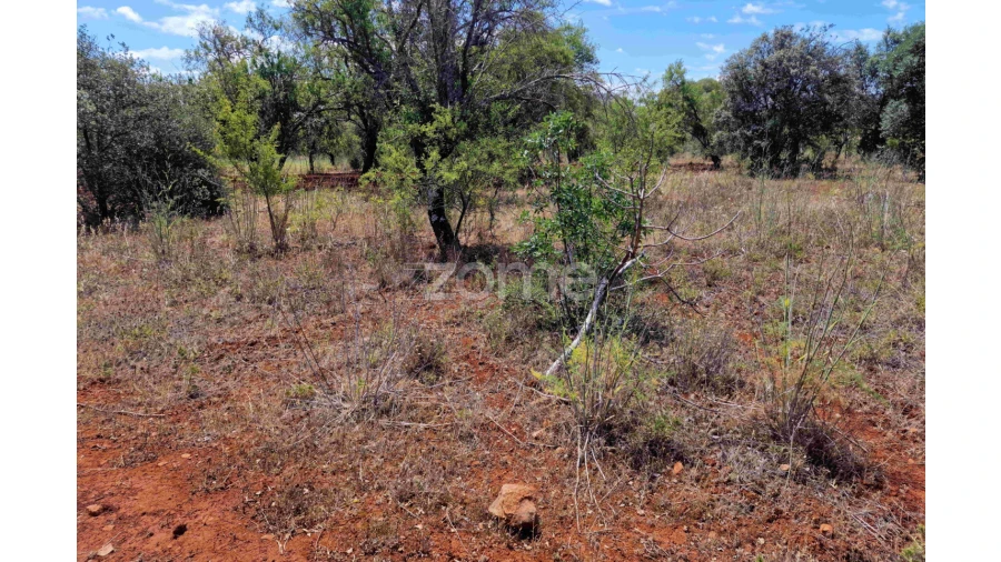 Terreno para Venda em Querença, Tôr e Benafim Foto 12