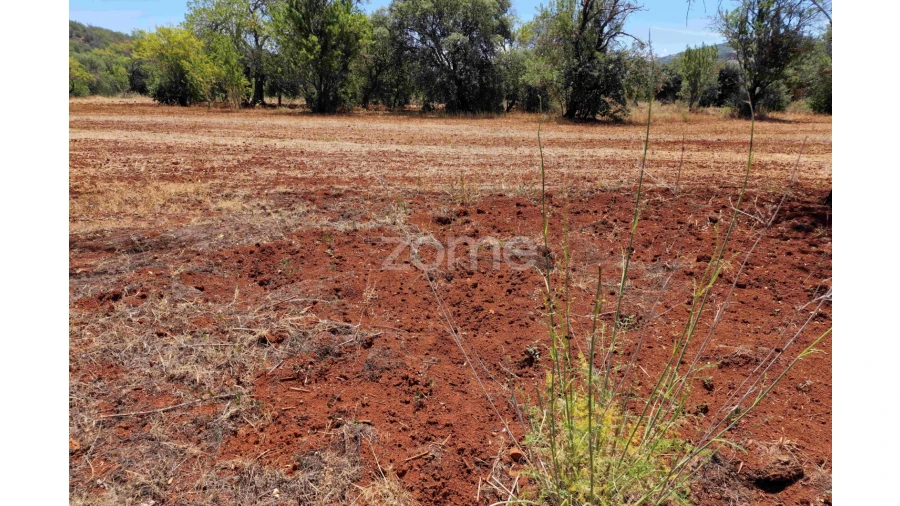 Terreno para Venda em Querença, Tôr e Benafim Foto 15