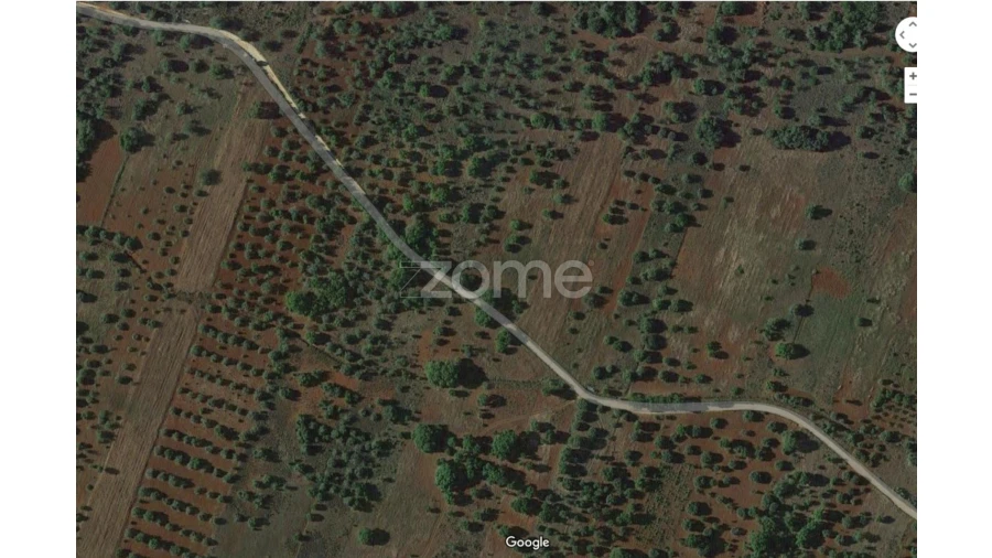 Terreno para Venda em Querença, Tôr e Benafim Foto 19