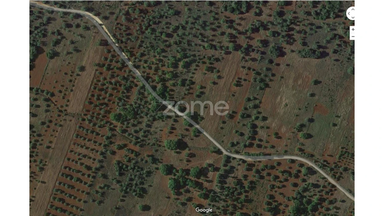 Terreno para Venda em Querença, Tôr e Benafim Foto 19