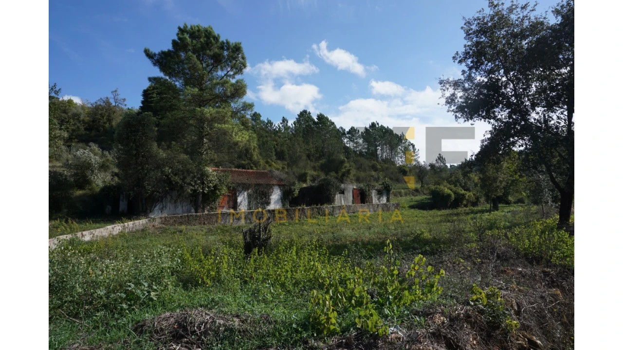 Terreno Agricola ou Rústico para Venda em Assafarge e Antanhol Foto 1