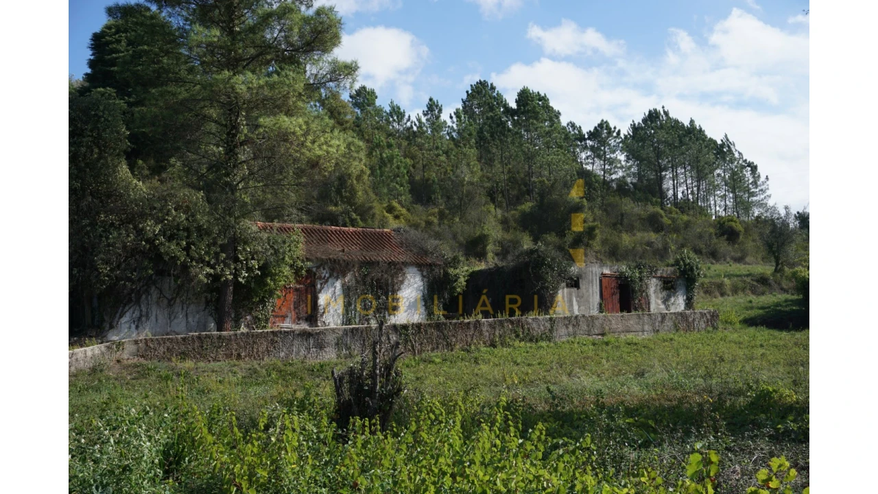 Terreno Agricola ou Rústico para Venda em Assafarge e Antanhol Foto 3